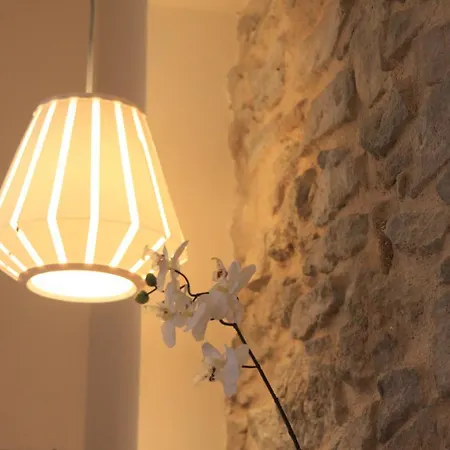Appartamento Le Logis Gout Carcassonne Esterno foto